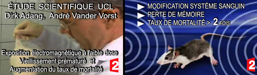 France2_Etude_scientifique_UCL_Dirk_Adang_Ecxposition_Rats_aux_CEM_850 2